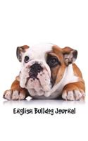 English Bulldog Journal