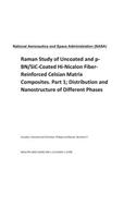 Raman Study of Uncoated and P-Bn/Sic-Coated Hi-Nicalon Fiber-Reinforced Celsian Matrix Composites. Part 1; Distribution and Nanostructure of Different Phases
