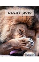 Diary 2019: Lion the Hunter, Big Cats, 7 Days a Week Planners, 7.44 X 9.69 Approx.19cm X 26.5cm Sized Book