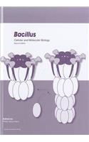 Bacillus