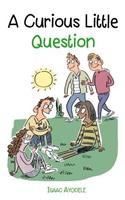 A Curious Little Question