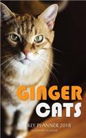 Ginger Cats Weekly Planner 2018