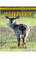 Waterbuck: Children's Book of Amazing Photos and Fun Facts about Waterbuck