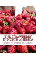 Strawberry In North America
