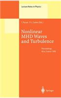 Nonlinear Mhd Waves and Turbulence