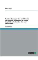 Punitive Damages. Eine einführende Darstellung, verdeutlicht an einem Vergleich zwischen den USA und Deutschland