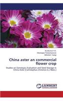 China aster an commercial flower crop