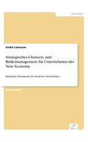 Strategisches Chancen- und Risikomanagement für Unternehmen der New Economy