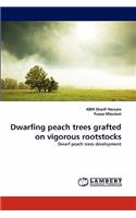 Dwarfing peach trees grafted on vigorous rootstocks
