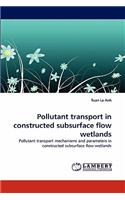 Pollutant Transport in Constructed Subsurface Flow Wetlands