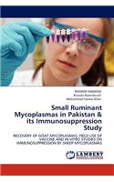 Small Ruminant Mycoplasmas in Pakistan & its Immunosuppression Study