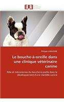 Le bouche-à-oreille dans une clinique vétérinaire canine