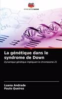 génétique dans le syndrome de Down