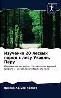 Изучение 20 лесных пород в лесу Укаяли, Перу