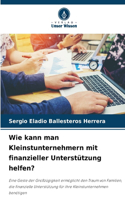 Wie kann man Kleinstunternehmern mit finanzieller Unterstützung helfen?