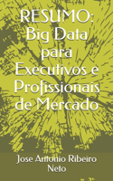 Resumo: Big Data para Executivos e Profissionais de Mercado(3 Big Data Para a Vida Pessoal E Profissional)