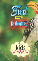 Bird coloring book for kids