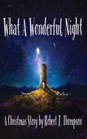What a Wonderful Night