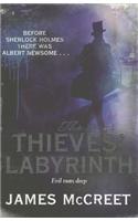 The Thieves' Labyrinth