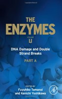 DNA Damage and Double Strand Breaks