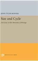 Size and Cycle