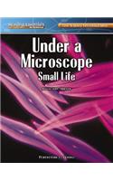 Under a Microscope: Small Life