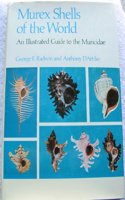 Murex Shells