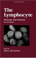 The Lymphocyte