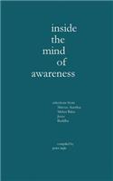 Inside the Mind of Awareness