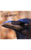 Journeys: Healing Through Natures Wisdom