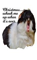 Christmas Wheek Me When It's Over