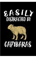 Easily Distracted By Capybaras