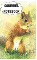 Squirrel Notebook