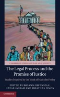 Legal Process and the Promise of Justice