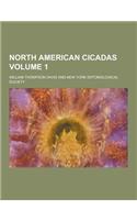 North American Cicadas Volume 1