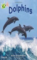 Bug Club Phonics Non-Fiction Year 1 Phase 5 Unit 13 Dolphins