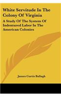 White Servitude In The Colony Of Virginia: A Study Of The System Of Indentured Labor In The American Colonies(English)