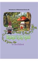 Gnomes in the Hood