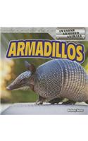 Armadillos