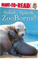 Splish, Splash, Zooborns!