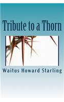 Tribute to a Thorn