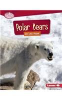 Polar Bears on the Hunt