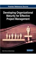 Developing Organizational Maturity for Effective Project Management