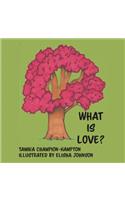 What Is Love?