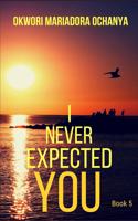 I Never Expected You