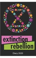 Extinction Rebellion Diary 2020