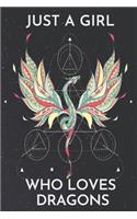 Just a Girl who Loves Dragons Notebook