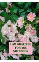 I am Grateful for You