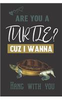 Are you a Turtle? Cuz i wanna hang with you: Cute & funny Turtle gifts for women, men, girls and kids: blank Lined notebook/Journal to write in