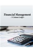 Financial Management - 3 Column Ledger -